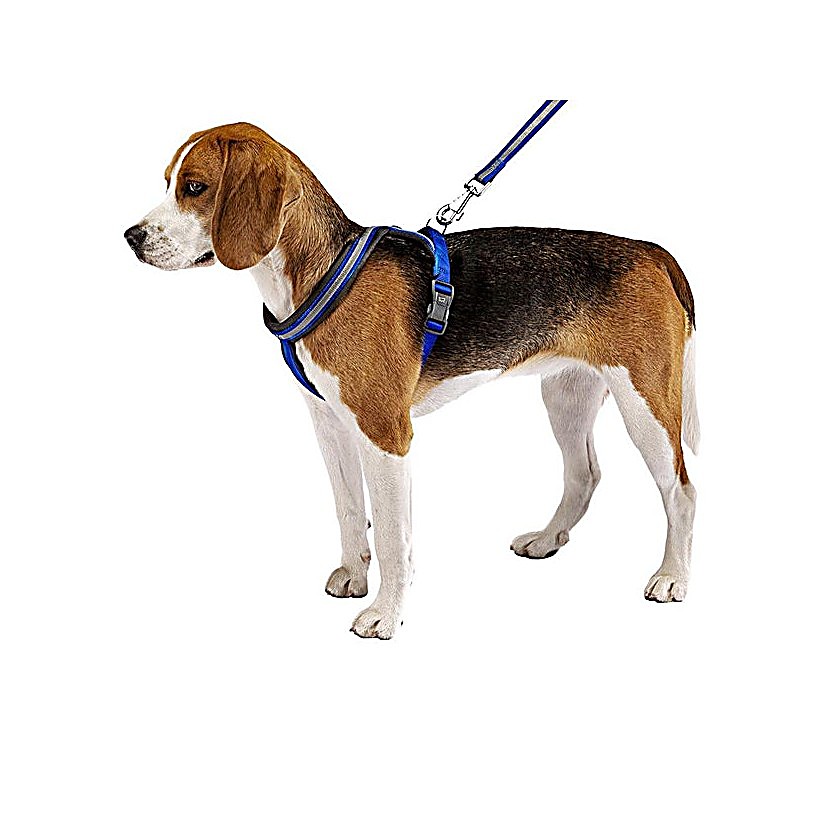 FP75580417|20000 DAYTONA CROSS M HARNESS Svart