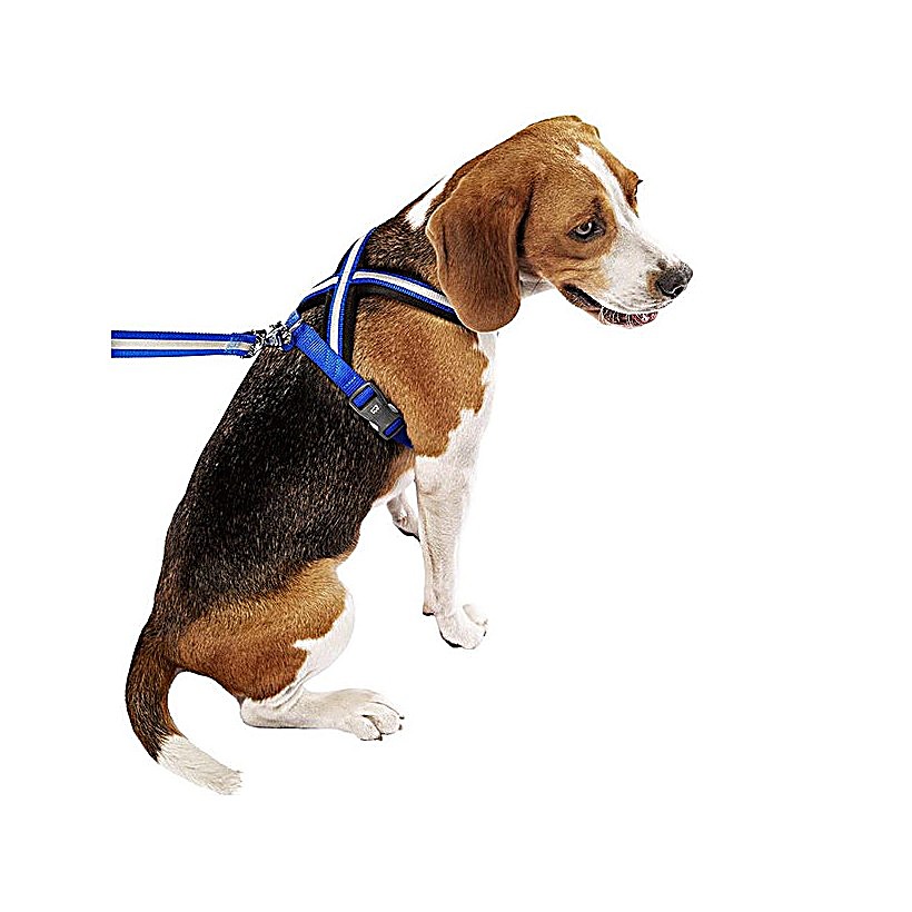 FP75580417|30000 DAYTONA CROSS M HARNESS Svart