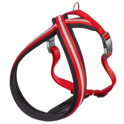 DAYTONA CROSS P L HARNESS RED
