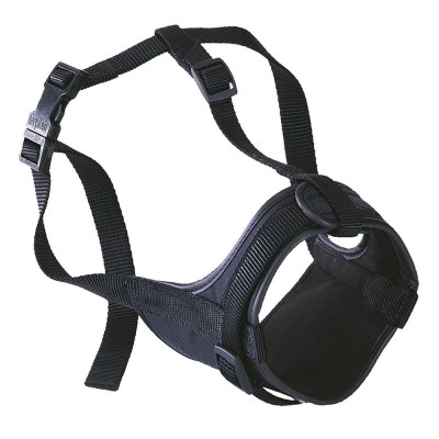 Muzzle Safe Boxer