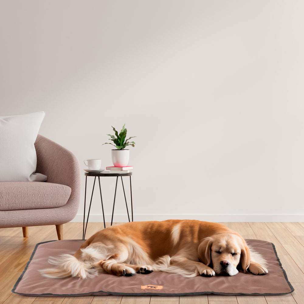 FP81082012|30000 Jolly 100 Cushion Brown