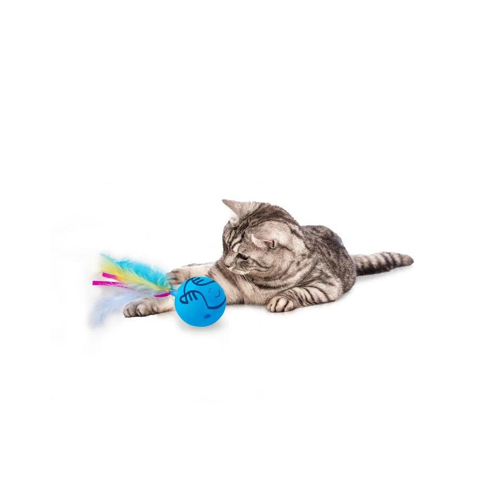 HMAFPK02164|30000 AFP Mordern cat - Dizzy Spinner