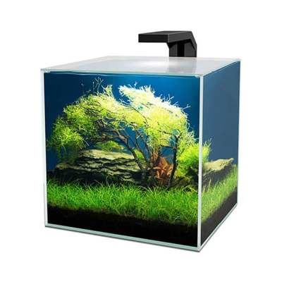 Cube fiskabúr 15L svart