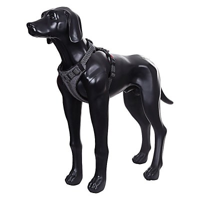 Star Padded Harness Black - Koko Xl