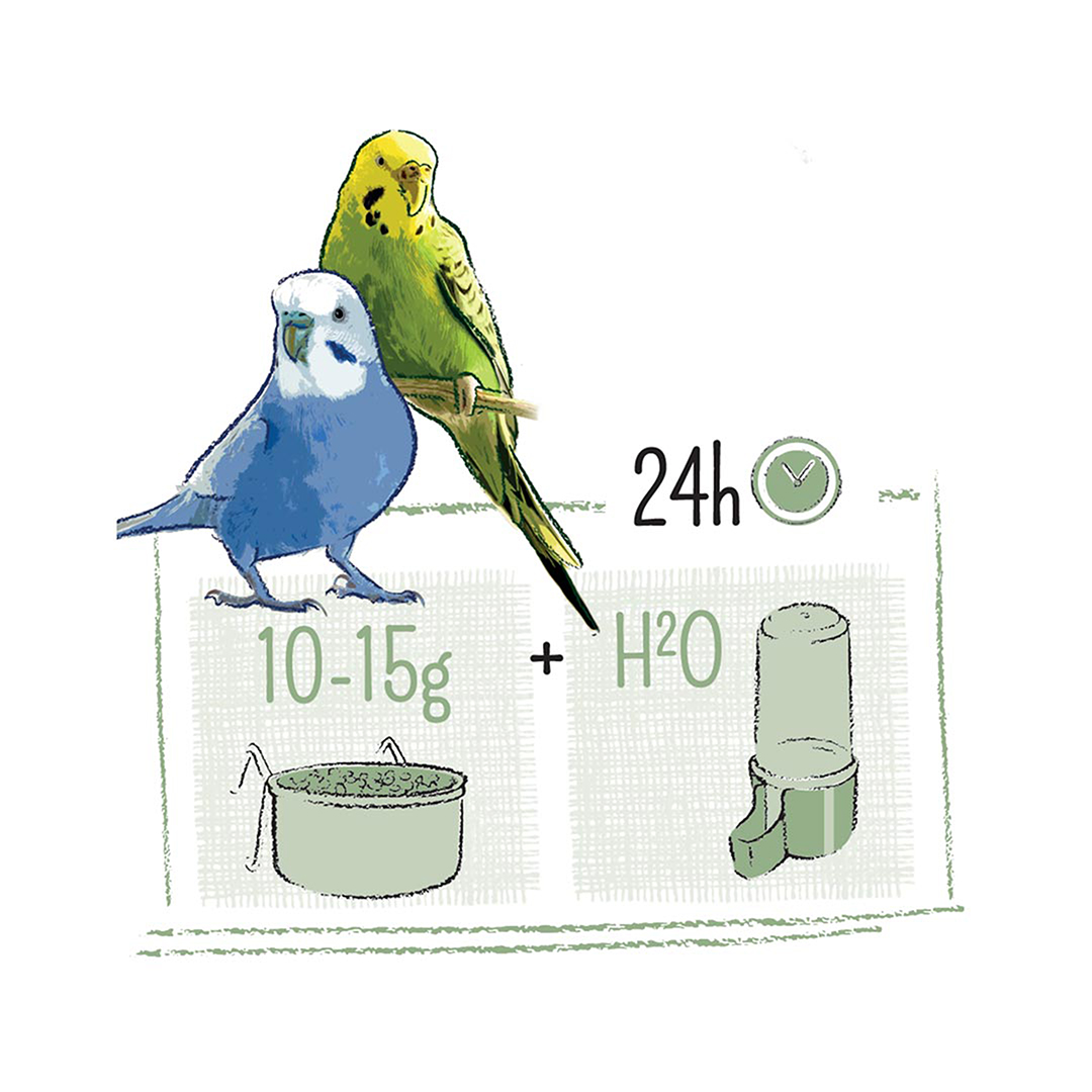WM654864|30000 Puur Budgie 2Kg