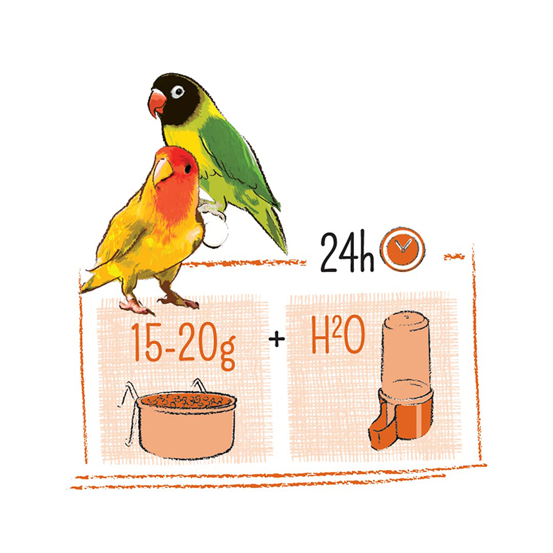 WM654870|30000 Puur Lovebird 2Kg