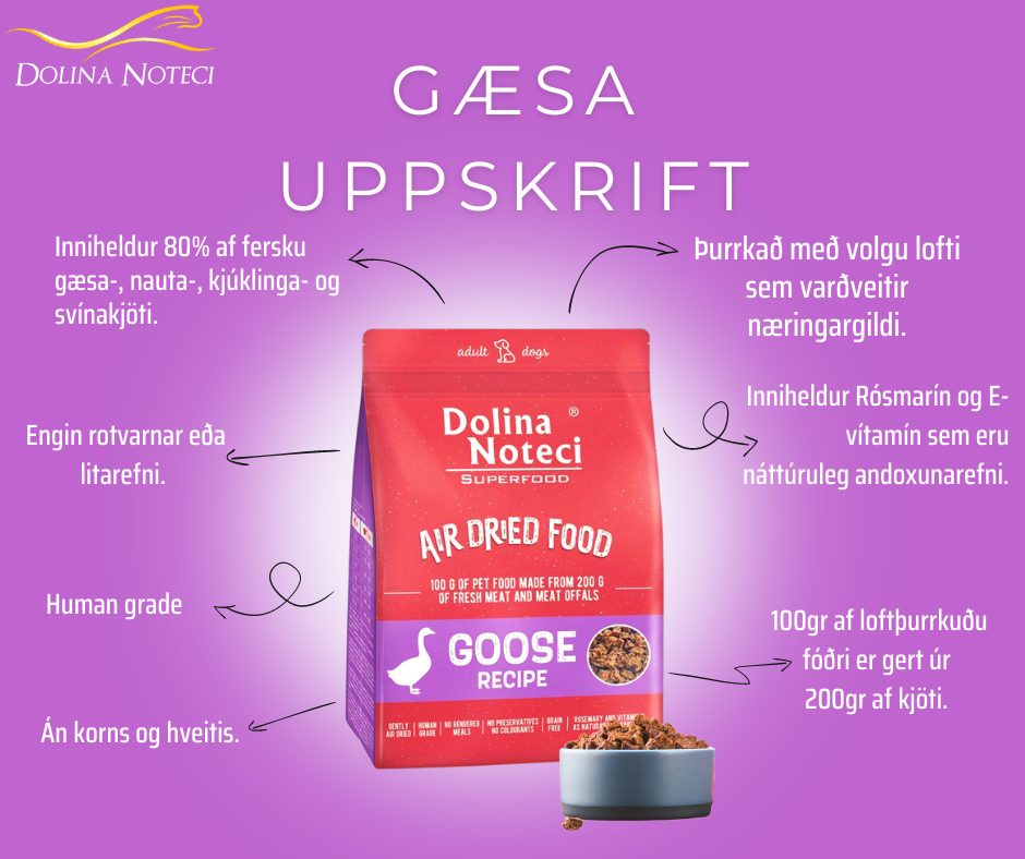 DN17830104|50000 Dolina Noteci Hundafóður Superfood - Gæsakjöt 1Kg