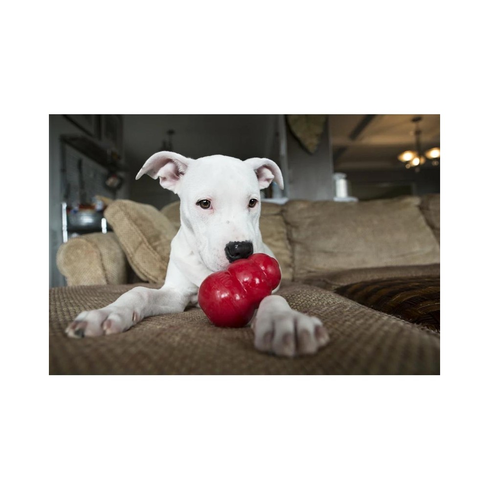 HMKONGT4E|60000 Kong Classic X-Small