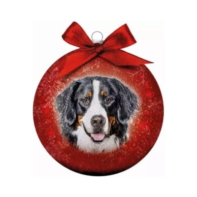 Bauble Xmas Frosted Cl Bernese