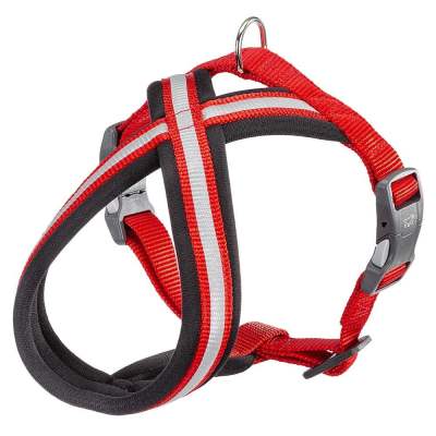 DAYTONA CROSS P S HARNESS RED