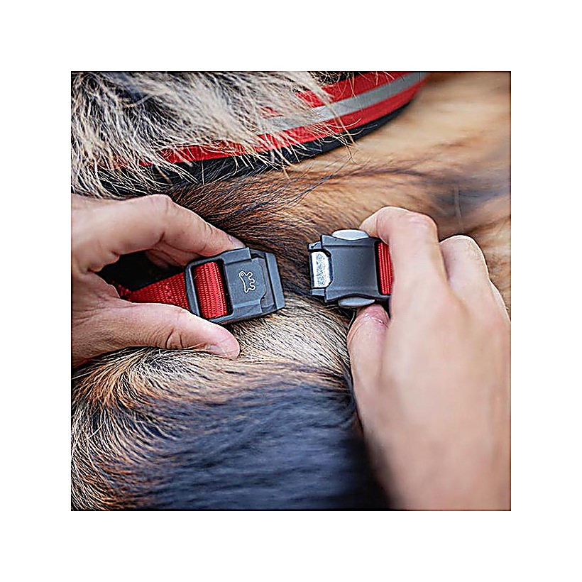 FP75580617|40000 DAYTONA CROSS L HARNESS Svart