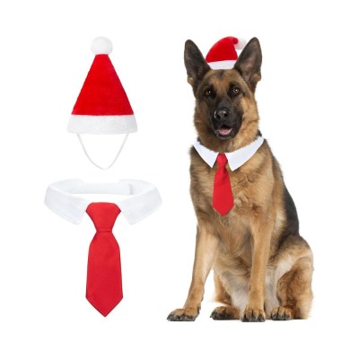 Jólasveinahúfa og bindi fyrir hunda