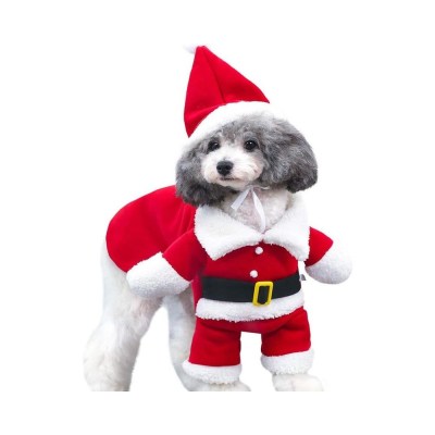 Jólasveinabúningur fyrir litla hunda og ketti S